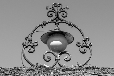 Fabrikgut Hammer