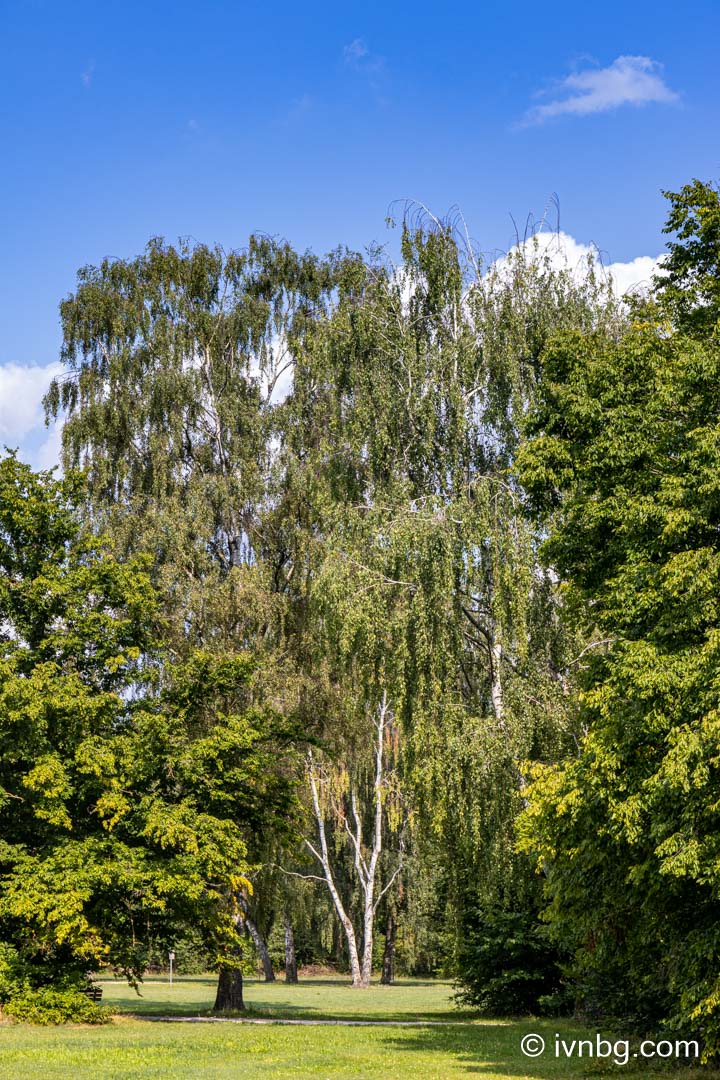 Marienbergpark